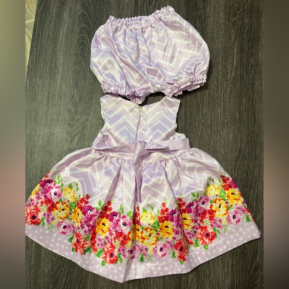 American Princess Baby/Toddler Dress Size 12m - Picture 3 of 3